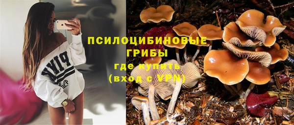 jwh Горняк